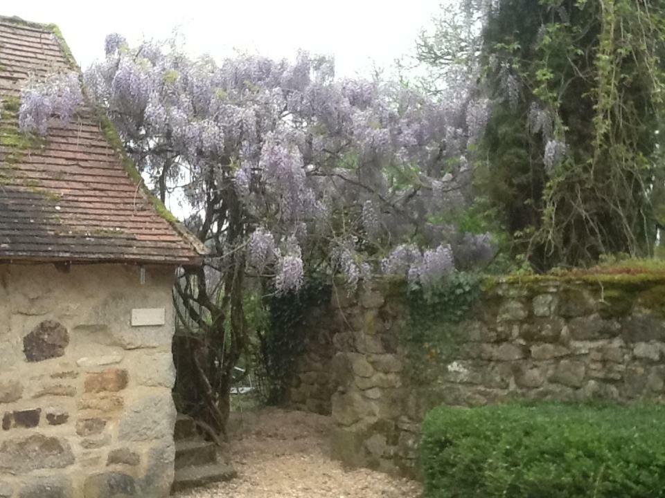 Готель Domaine De Sautou Castanet  Екстер'єр фото