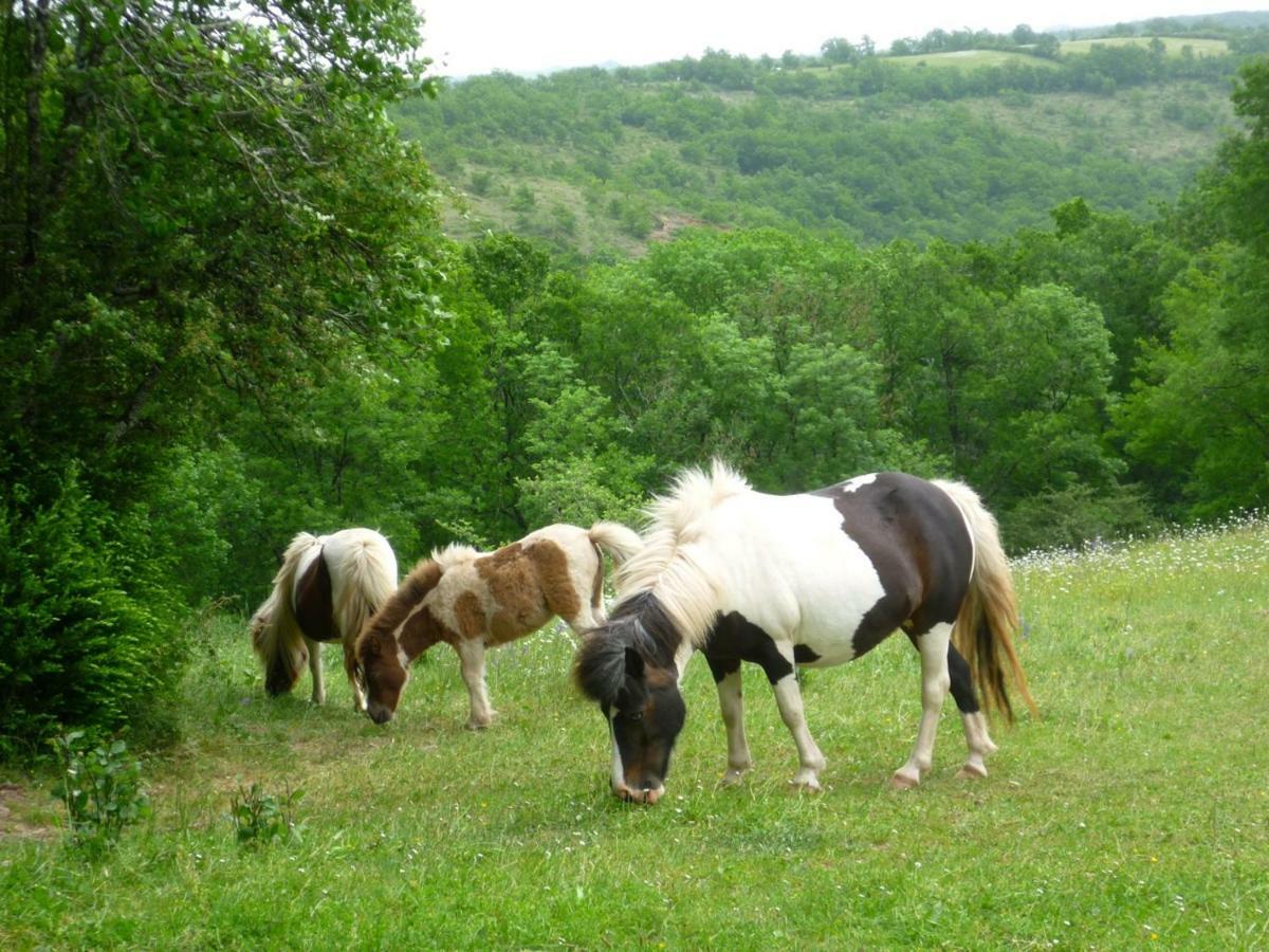 Готель Domaine De Sautou Castanet  Екстер'єр фото